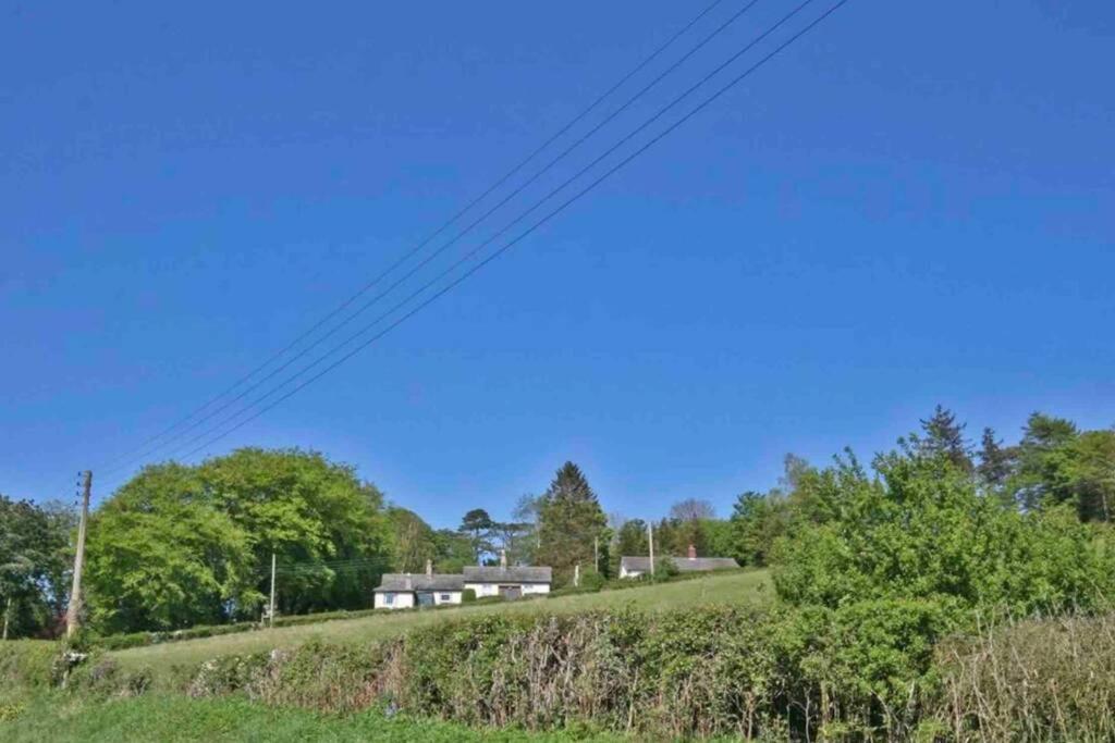 Hilltop Cottage Thropton Exterior photo